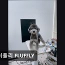 플러플리 FLUFFLY 네이버블로그