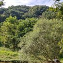 수심경로당 이미지