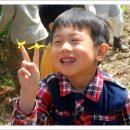 남이초병설유치원 이미지