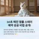 문자보내기반(스마트폰 활용반) | 30초 매진도 걱정 NO! 댕플 스테이 필승 공략법