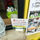 바둑이농장 | 바둑이네동물원 보령 여행 아이와 가볼만한곳 내돈내산 후기