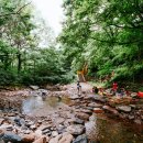 김천물소리생태숲_#1 이미지