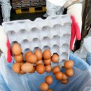 청운축산농장 이미지