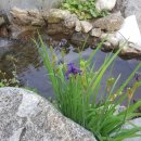 소백정원 이미지