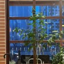 완미족발 평택지제동삭점 이미지