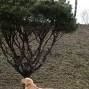 부마클럽 이미지