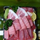 참치라이더 Daum카페