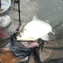 쉼터 낚시터 이미지