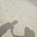 [2월 다낭 4박 6일 여행] 5일차(2)_미케비치, 호이안 아오자이 대여(빈빈, 빙빙)
