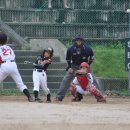 대구남도초등학교 이미지