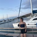 산호타운 | 하와이여행 마우이섬 ) 아름다운 산호와 함께 돌고래 거북이까지 본 , 몰로키니 스노클링 준비물