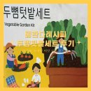 텃밭 | [초보식집사] 베란다레시피 두뺨텃밭세트 후기