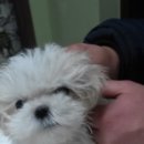 건국동물병원 이미지