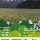 덕현리 경로당 네이버블로그