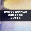 365플란트치과의원 네이버블로그