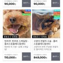 솔샘동물병원 이미지