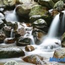 칠금2길 이미지