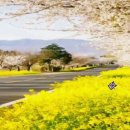 행복 울림 오카리나 이미지