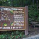 기룡산 등산로6 | 춘천 용화산과 춘천 오봉산 산행후기(1일 2산)
