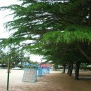 구산초등 이미지