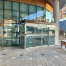 션샤인캣 이미지