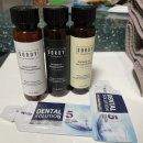 피스하우징(평화주택) 이미지