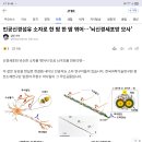 꼬에장력:로이더 혈액100ml 헤모글로빈15g 1g=산소1.3 근섬유도 부정해 김남진 전범진 장애인설치고댕기노 18년도뉴스 모사소자 이미지