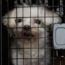 연동파출소 이미지