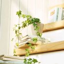 오롯이;독 이미지