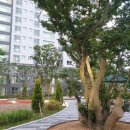 장현리슈빌퍼스트클래스 이미지