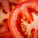 토마토푸드 이미지