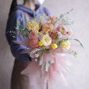 법인플레르