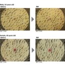 연세모에버의원 이미지
