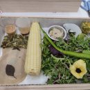 꽃차와 산야초 | [서울시립 미술아카이브] 예술가의 런치박스-김준작가 후기