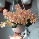 딸부자사우나 이미지