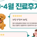 21세기종합동물병원 | 🐾원주 누리종합동물병원을 소개합니다.