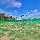 생활체육 정구장 이미지