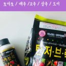 흥농농약종묘사 이미지