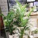 이레카서비스 이미지