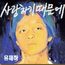 다모토리 네이버블로그