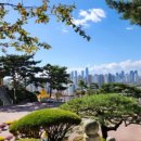 아빠부동산중개사무소 이미지