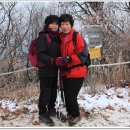 화순초등학교 이미지