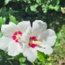 서귀포시니어클럽 이미지