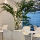 e프렌즈부동산공인중개사사무소 이미지