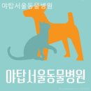 야탑서울동물병원 이미지