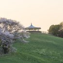 보라목장 이미지