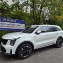 망포지하차도 | 유어파일럿 자차 10시간 수원 도로주행 후기