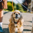 우리앤동물병원 이미지