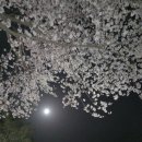 용계체육공원 이미지