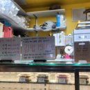 길동김밥 | 길동복조리시장 1500원 김밥 가성비 끝판왕 곁들임 내돈내산 후기